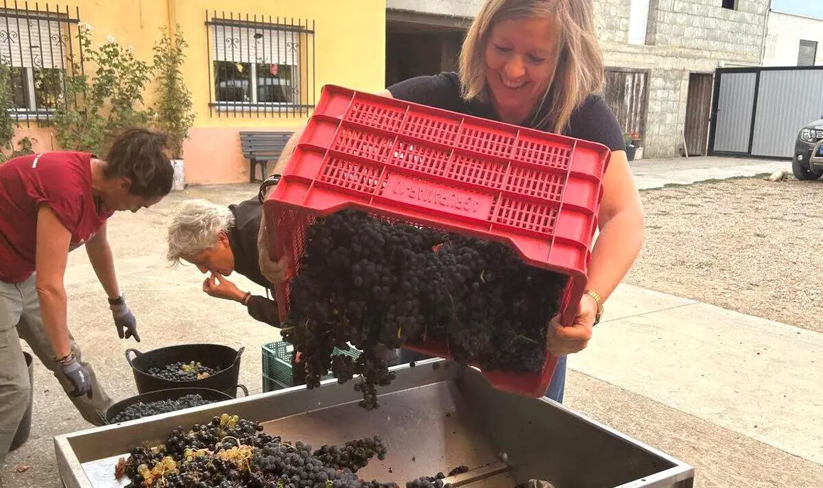 'M', un vino elaborado con uvas de parcelas de 22 mujeres del Bierzo