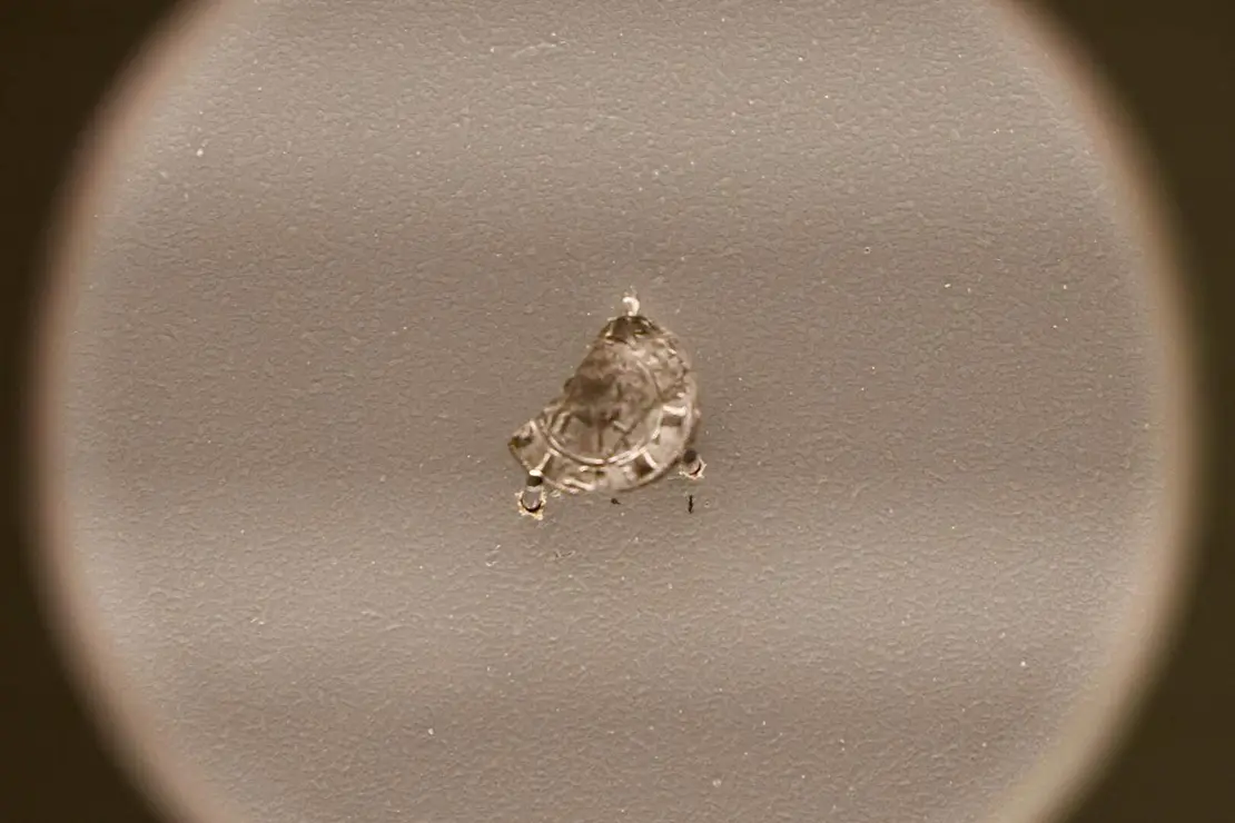 expo urraca campillo (5)