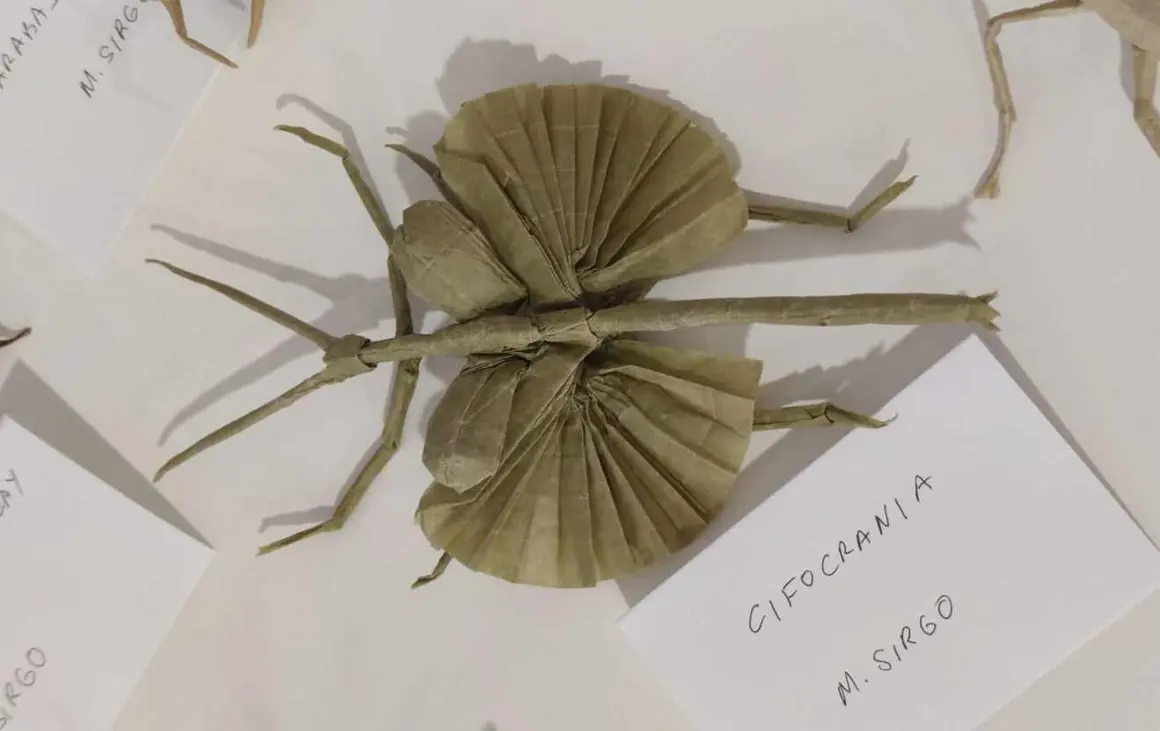 La ciudad de Le&oacute;n acoge desde este jueves la vig&eacute;simo s&eacute;ptima Convenci&oacute;n Internacional organizada por la Asociaci&oacute;n Espa&ntilde;ola de Papiroflexia, un encuentro que congrega a cerca de 150 aficionados y especialistas de esta disciplina art&iacute;stica basada en la transformaci&oacute;n del papel mediante pliegues.