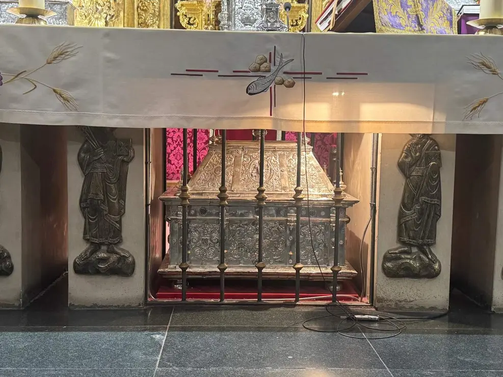 WhatsApp Image 2026-03-06 at 17.28.11 copia 5