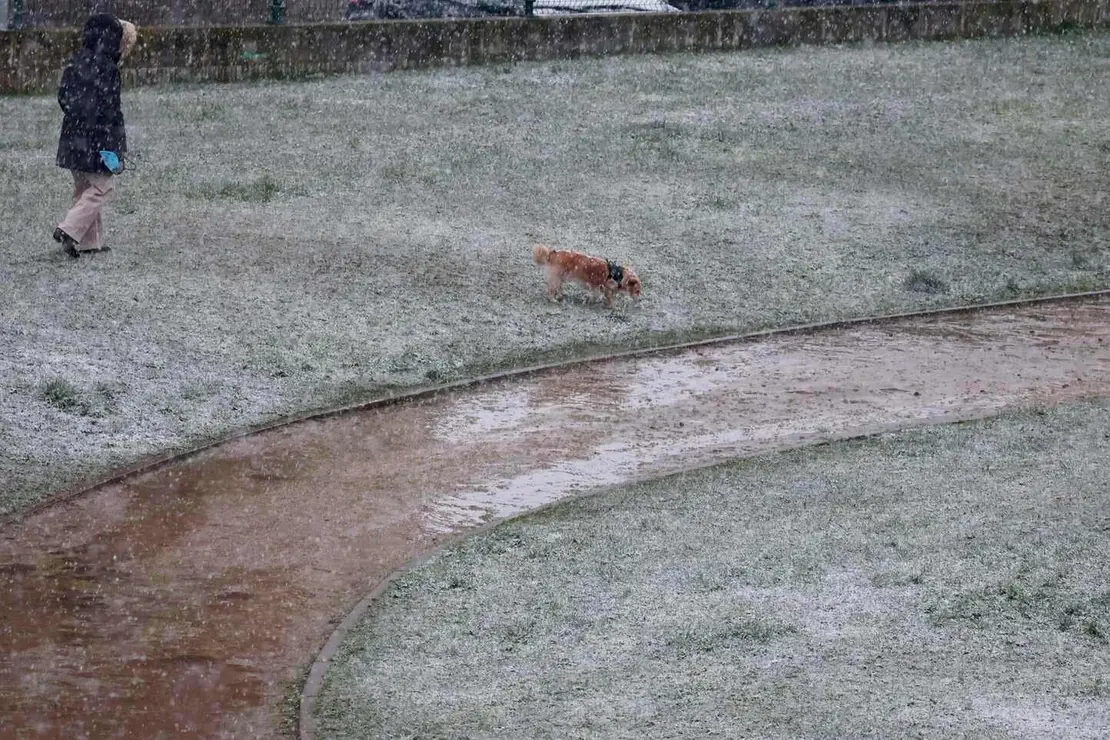 La nieve regresa a la capital leonesa