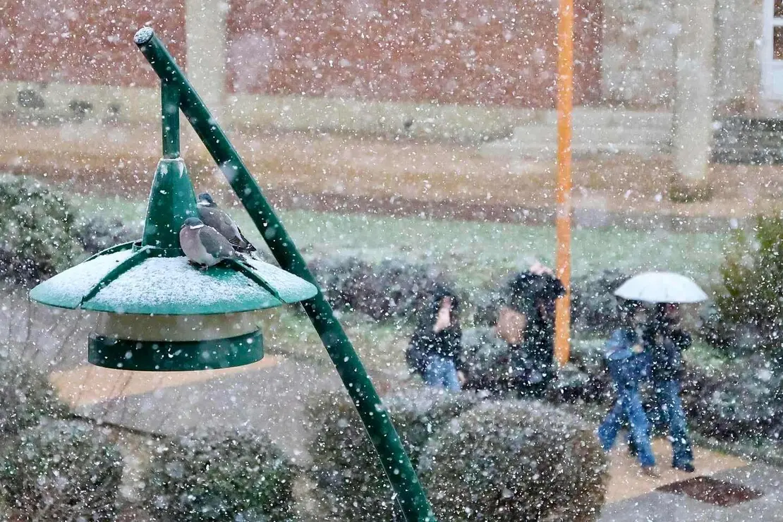La nieve regresa a la capital leonesa. Foto: Campillo