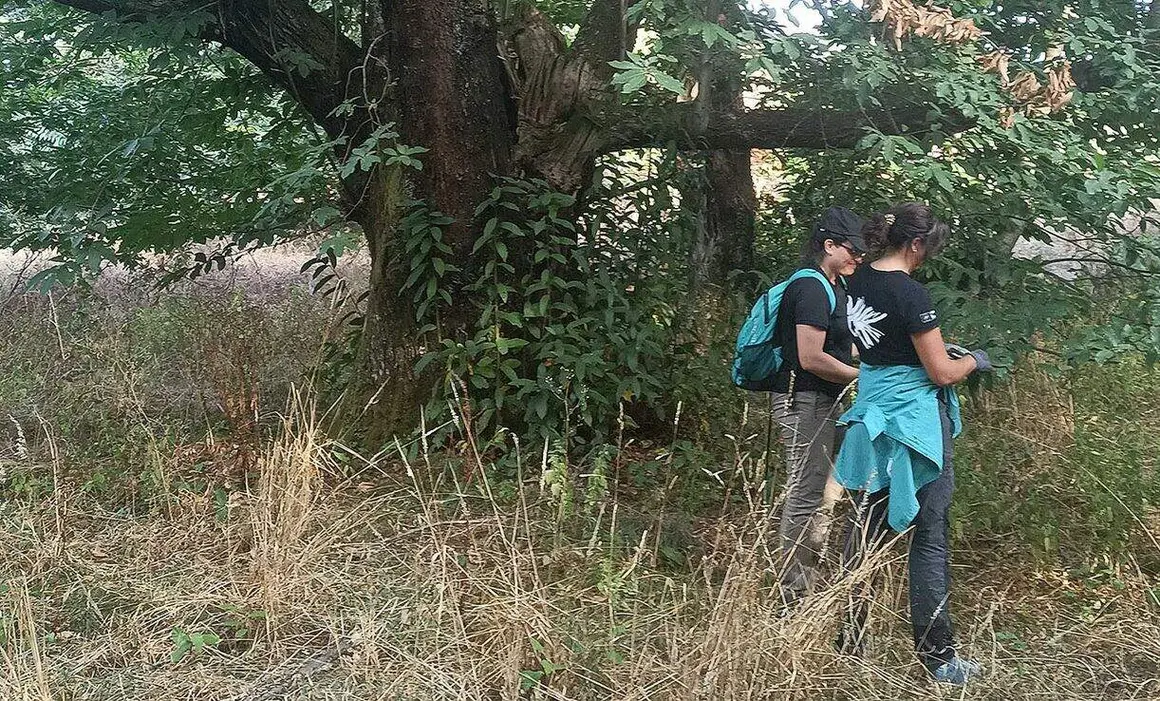 datos_servicios_ecosist_sotos (5)