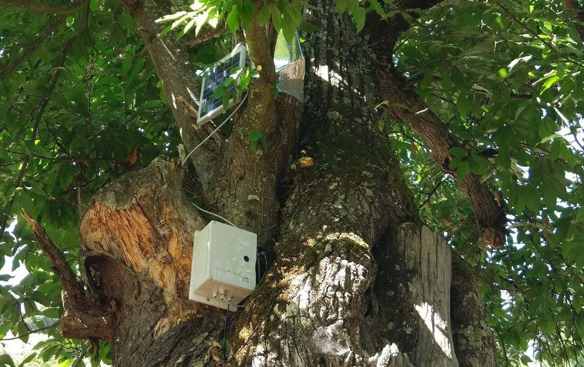 datos_servicios_ecosist_sotos (4)