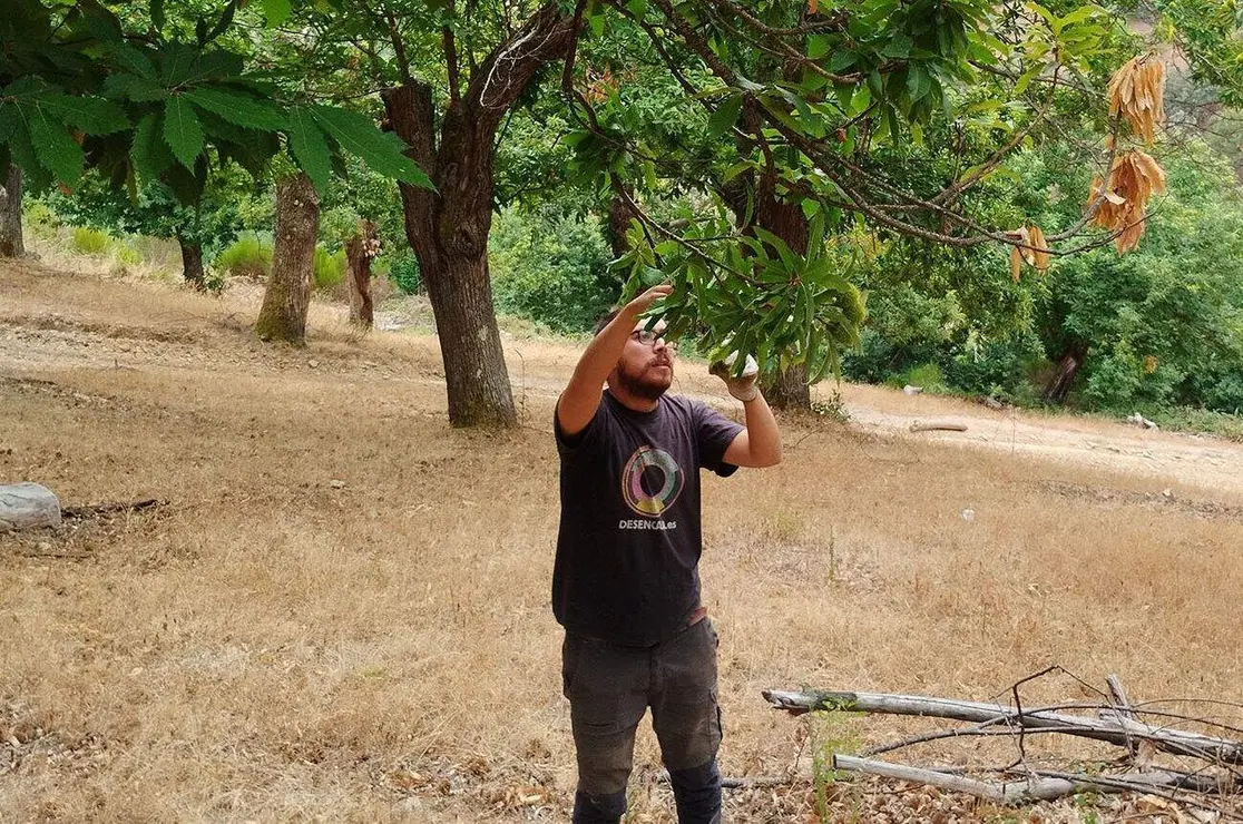 datos_servicios_ecosist_sotos (2)