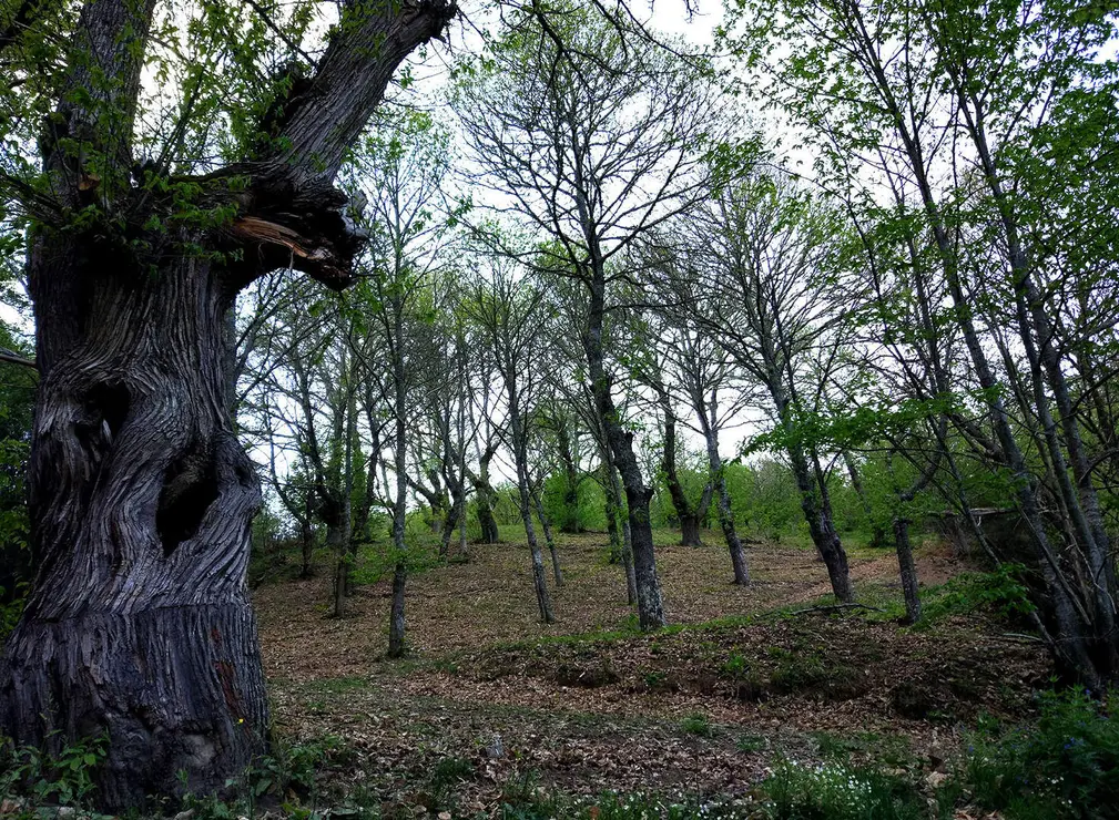 datos_servicios_ecosist_sotos (3)