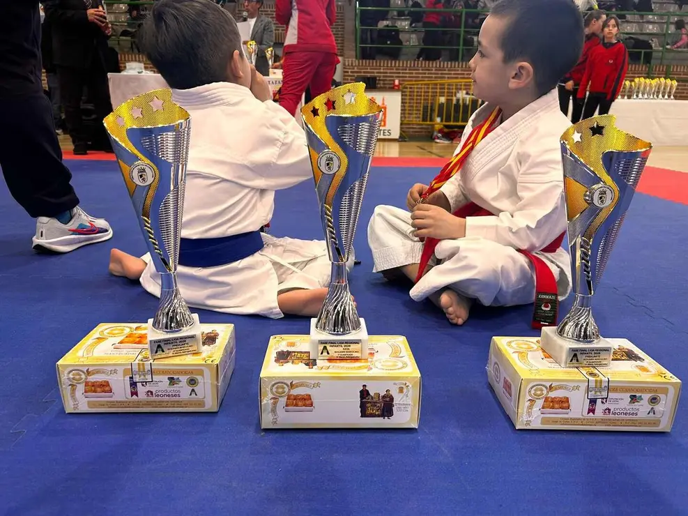 M&aacute;s de 330 karatecas de las categor&iacute;as infantil, m&aacute;ster y s&eacute;nior participaron este fin de semana en la tercera y definitiva fase de la Liga Regional de Karate, una cita que reuni&oacute; a deportistas de toda la comunidad en las modalidades de kata y kumite.
