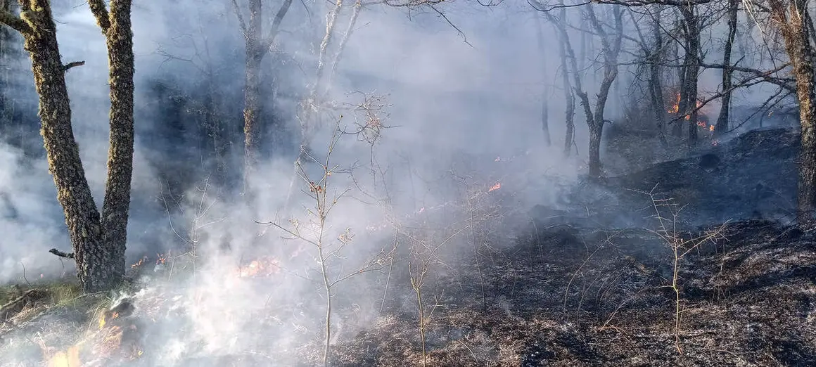 Incendio en el municipio de Ig&uuml;e&ntilde;a (Le&oacute;n)