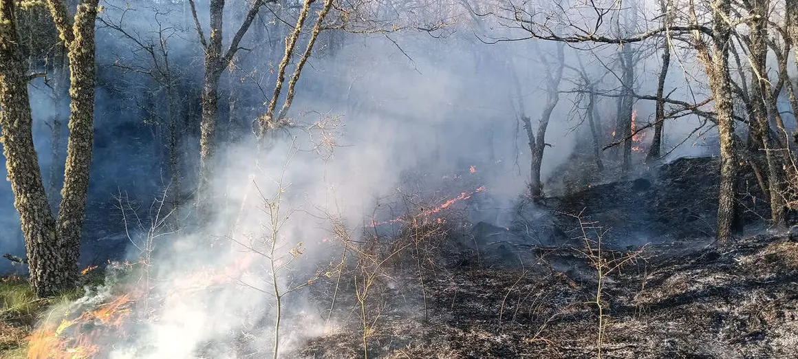 Incendio en el municipio de Ig&uuml;e&ntilde;a (Le&oacute;n)