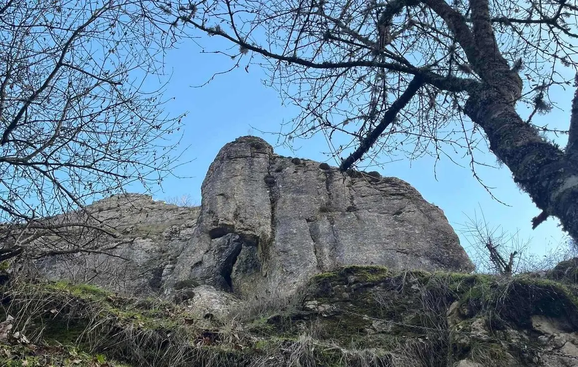 En Oceja de Valdellorma, la conocida Senda del Mamut ha evolucionado desde su inicio en 2022 como proyecto vecinal hasta convertirse en &ldquo;una de las propuestas de naturaleza m&aacute;s singulares del entorno&rdquo;, seg&uacute;n sus organizadores.