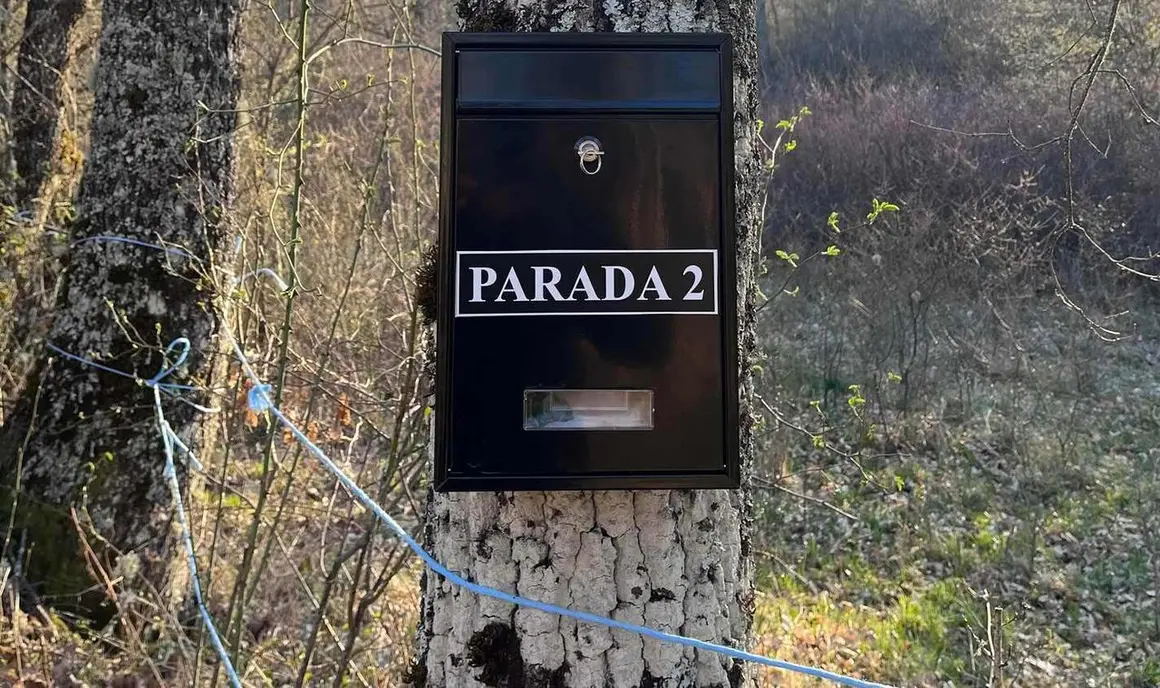 Sensa del Mamut (10)