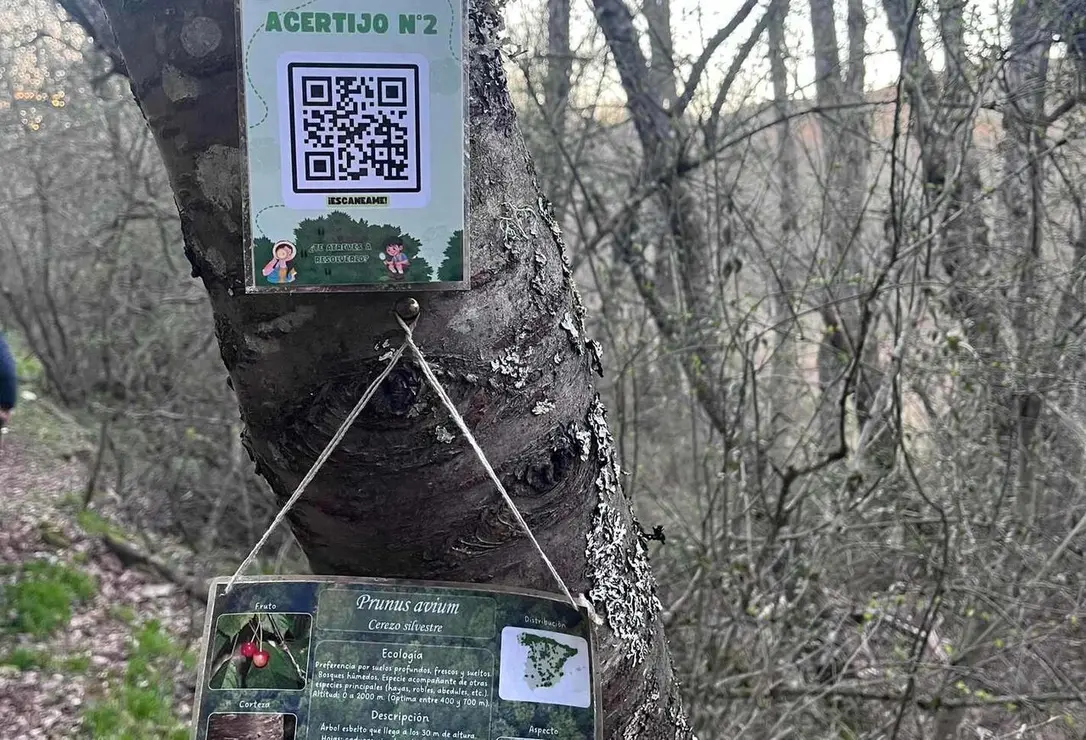 Sensa del Mamut (11)