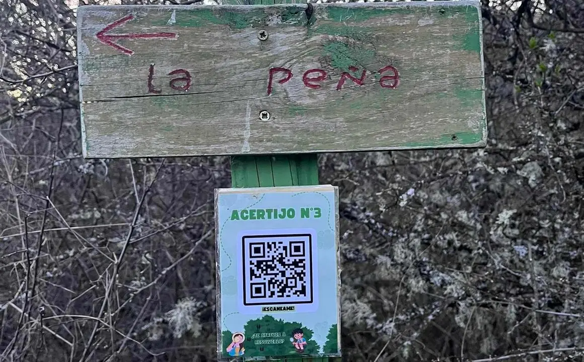 Sensa del Mamut (13)