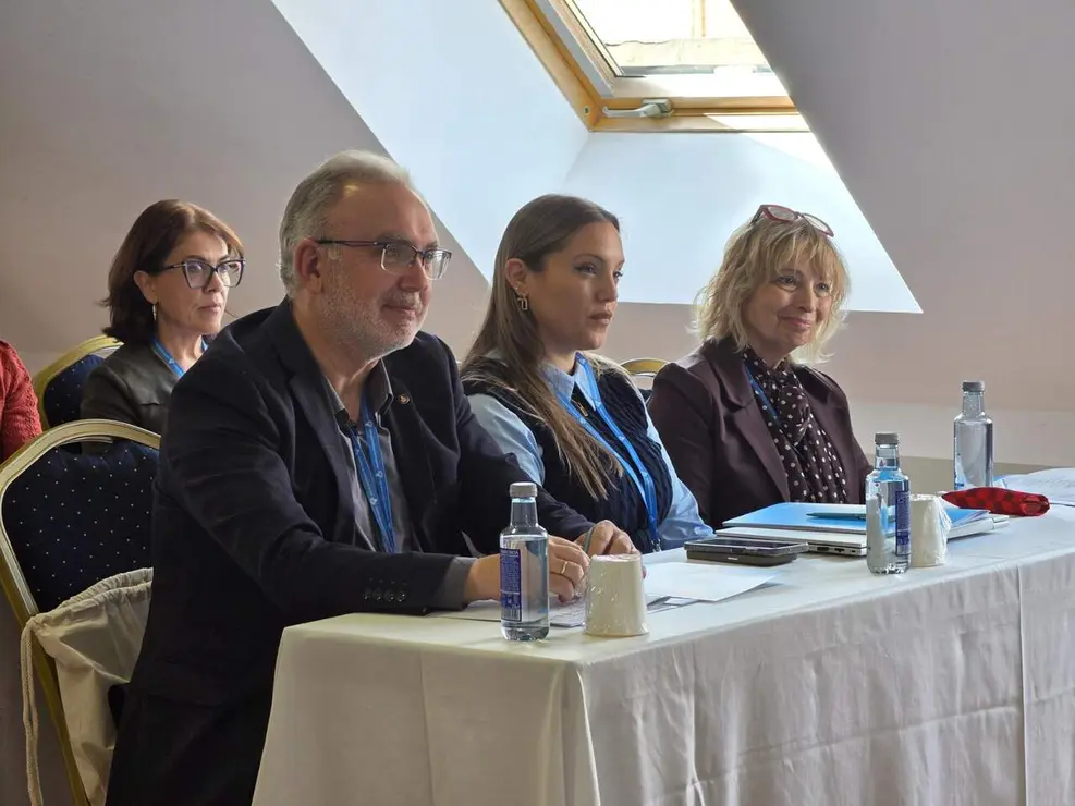 Subdirectores asistenciales