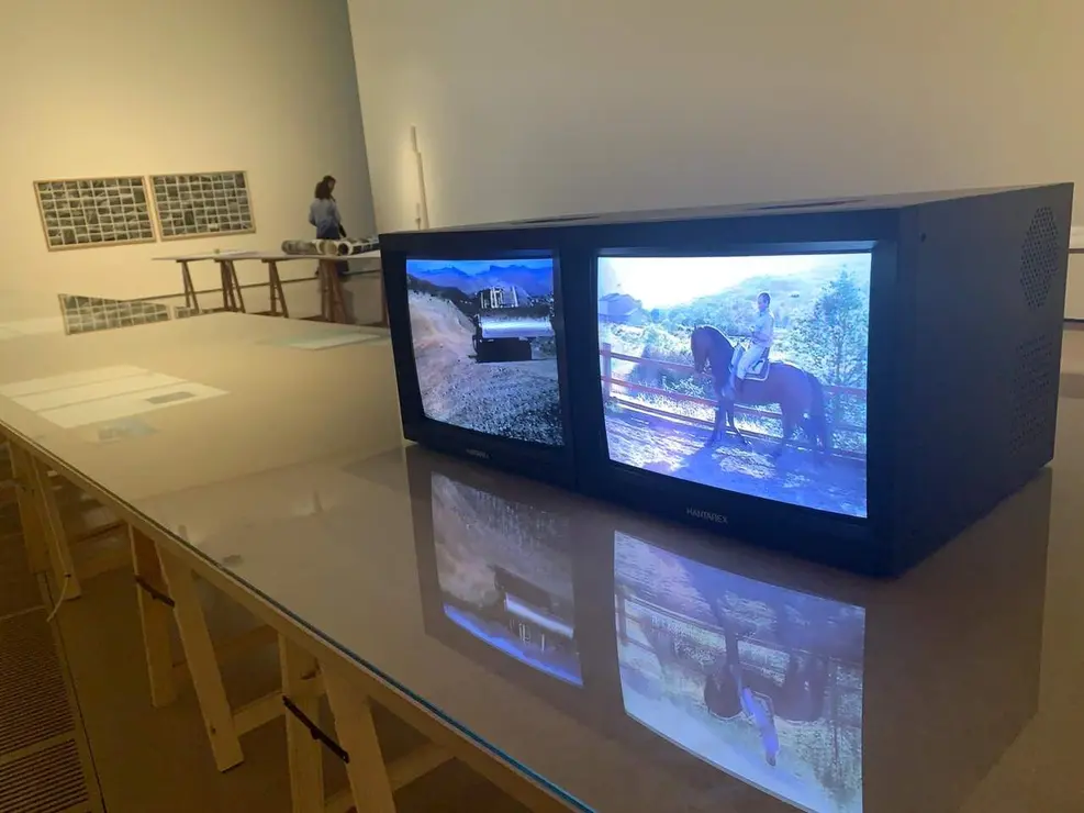 simas koochaki botin (6)