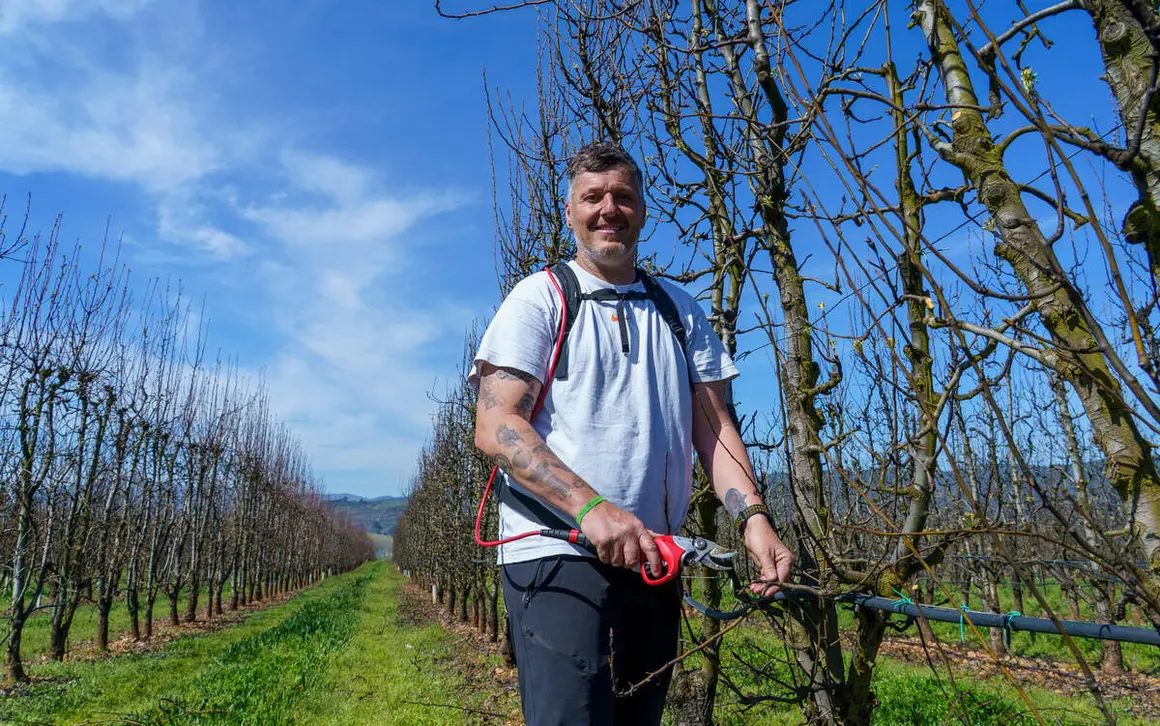 Poda especializada de frutales en el Bierzo