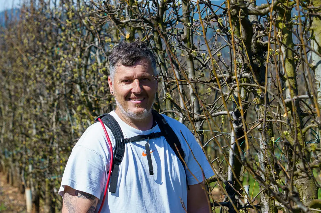 Poda especializada de frutales en el Bierzo