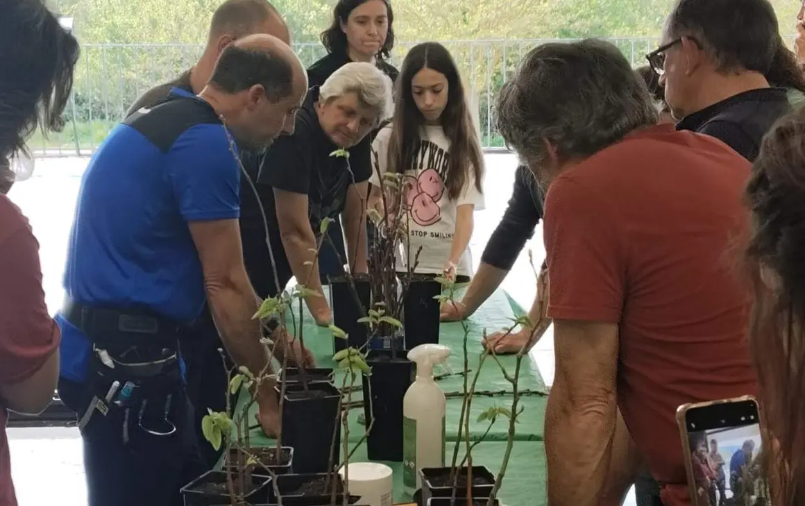 &Eacute;xito en el curso de injertos de casta&ntilde;o del proyecto Souto Vivo de ADR Bierzo Cabrera. Foto: ADR Bierzo Cabrera.
