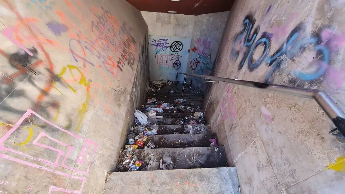 edificio ara&uacute; (4)