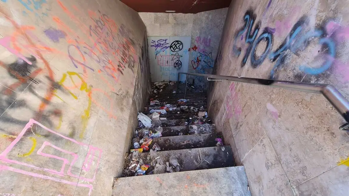 edificio ara&uacute; (10)