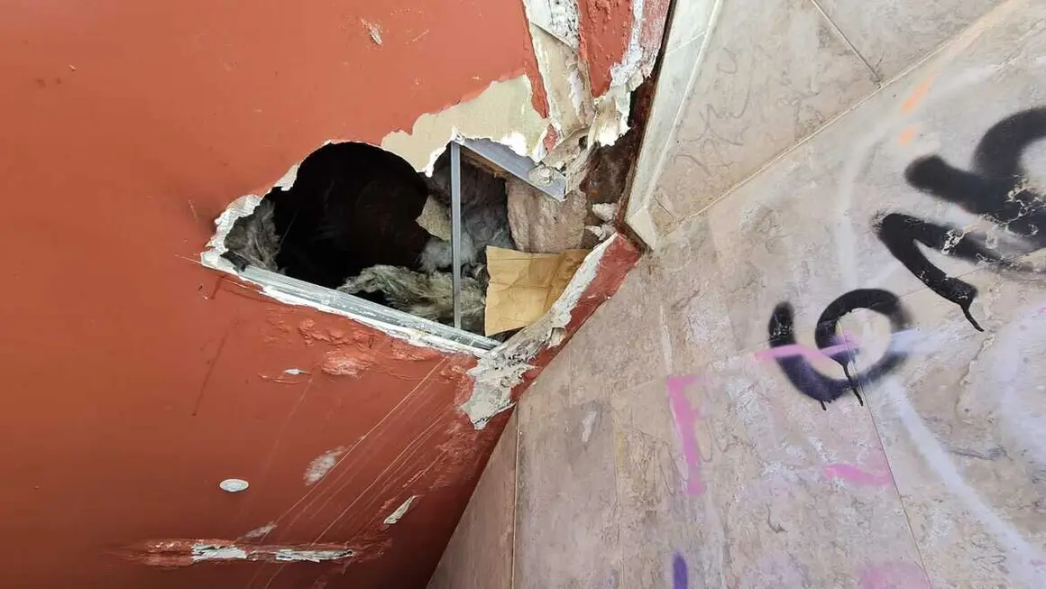 edificio ara&uacute; (12)