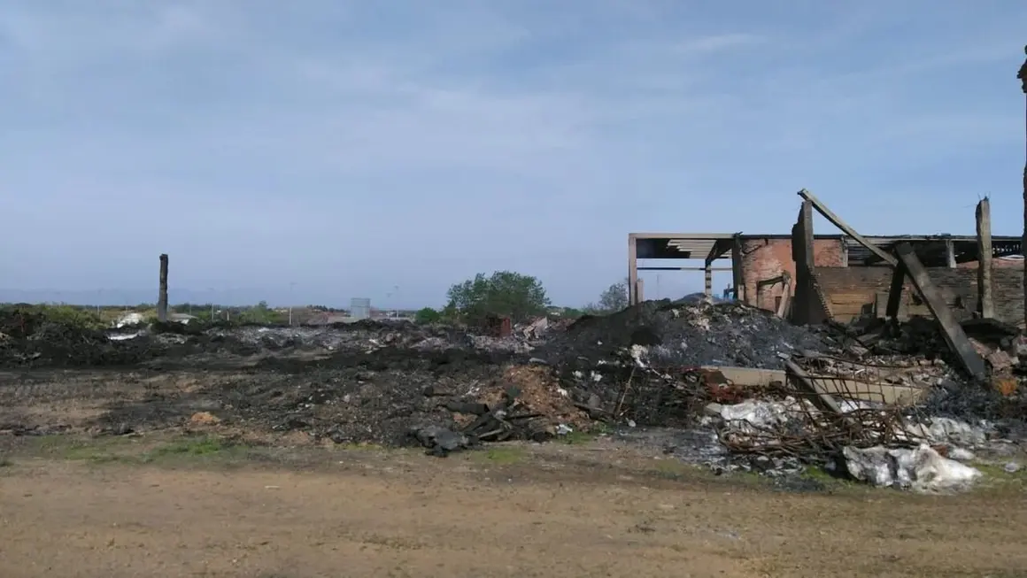 671808806_18116064850708084_1195113163998978291_n