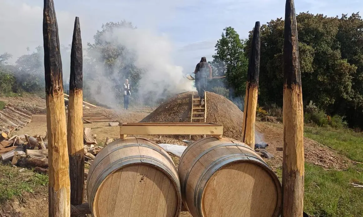 carbonera barrios (3)