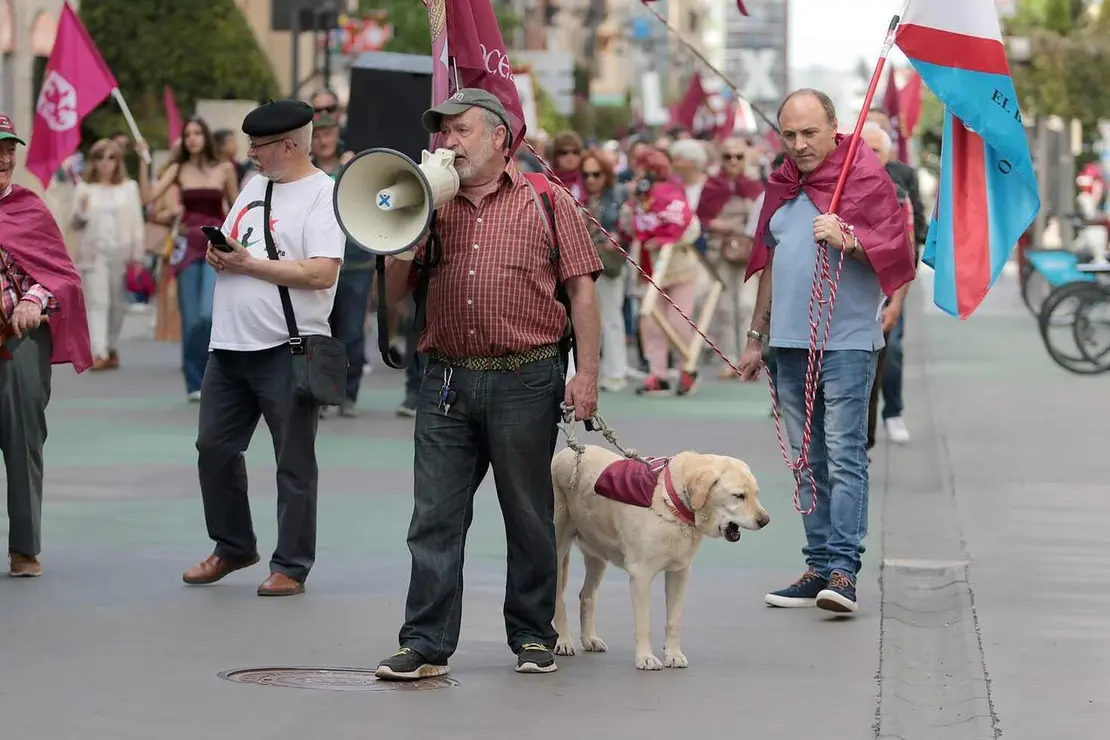 Le&oacute;n acoge el V Camino a la Libertad organizado por Conceyu Pa&iacute;s Llion&eacute;s y Xuntanza Llionesista