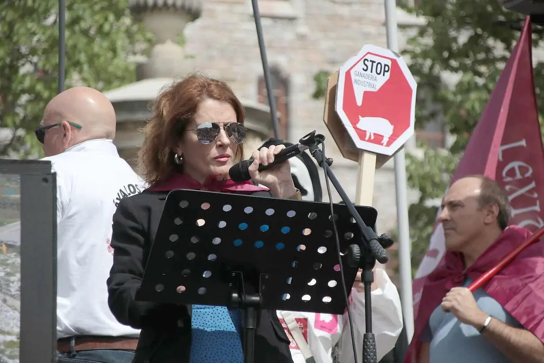Le&oacute;n acoge el V Camino a la Libertad organizado por Conceyu Pa&iacute;s Llion&eacute;s y Xuntanza Llionesista