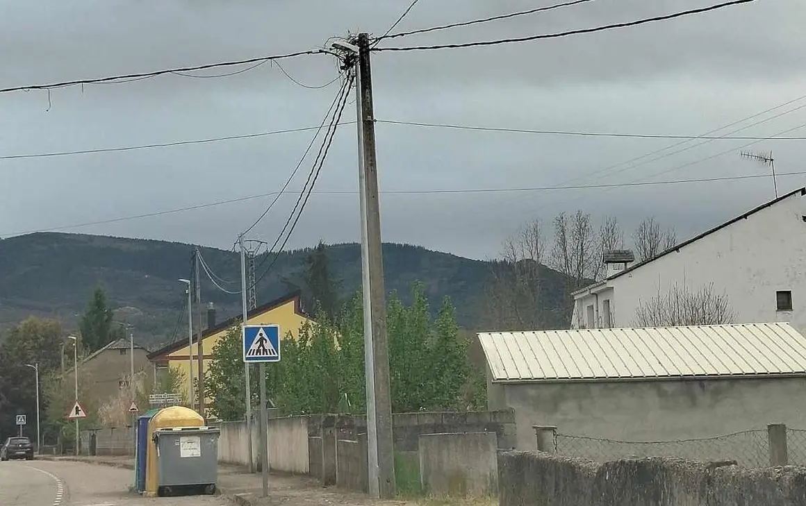 NIDO TIRADO 13-4-26 POR LA TARDE