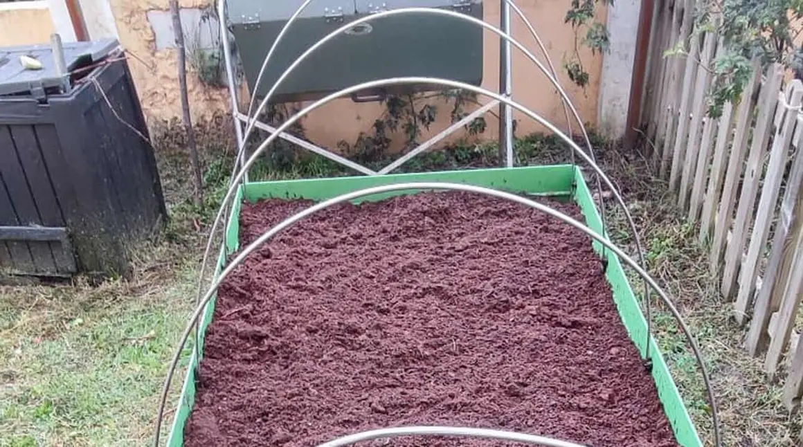 Valent&iacute;n G&ordf; Yebra2