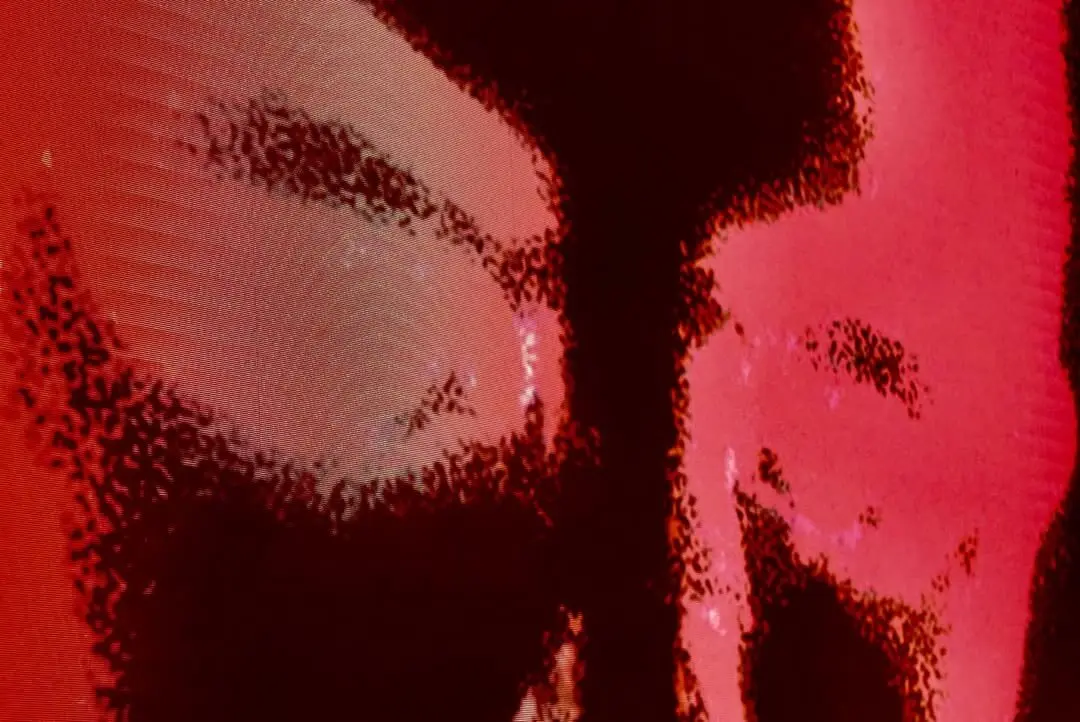 VIBRA MAHOU FEST LEON (52)