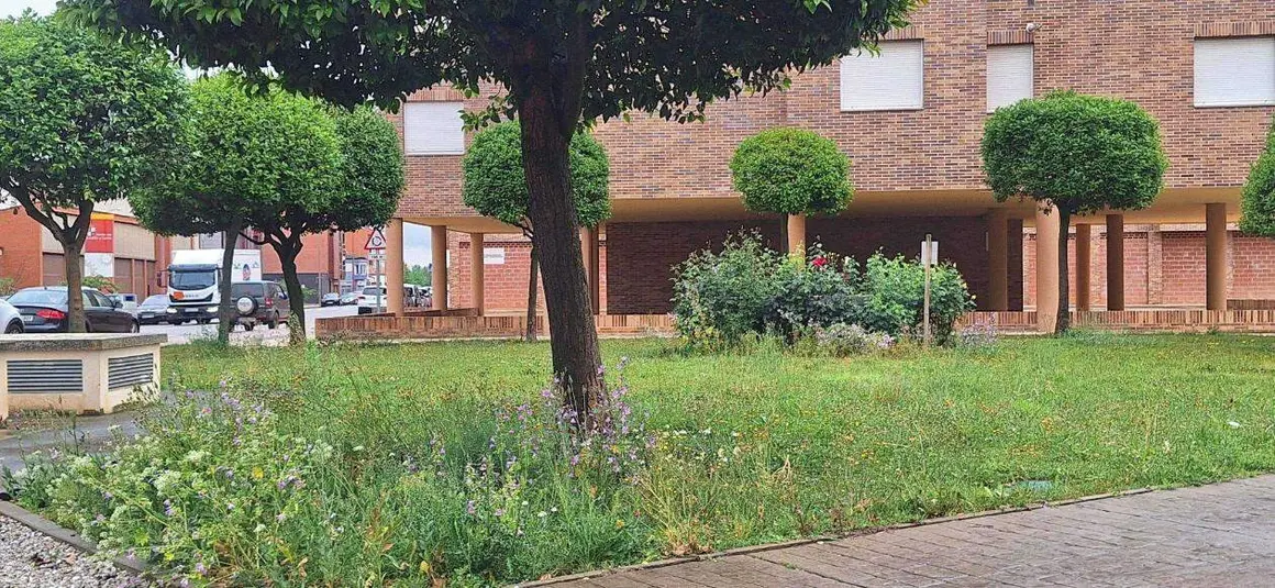 Valencia-De-Don-Juan-20260429-4