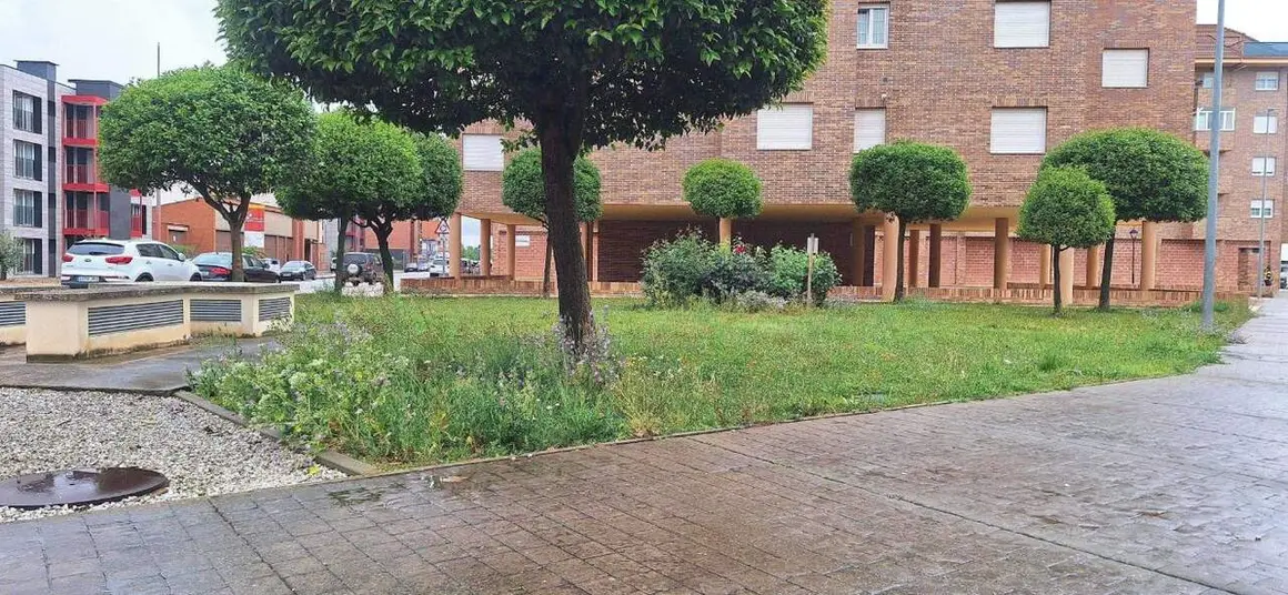 Valencia-De-Don-Juan-20260429-7