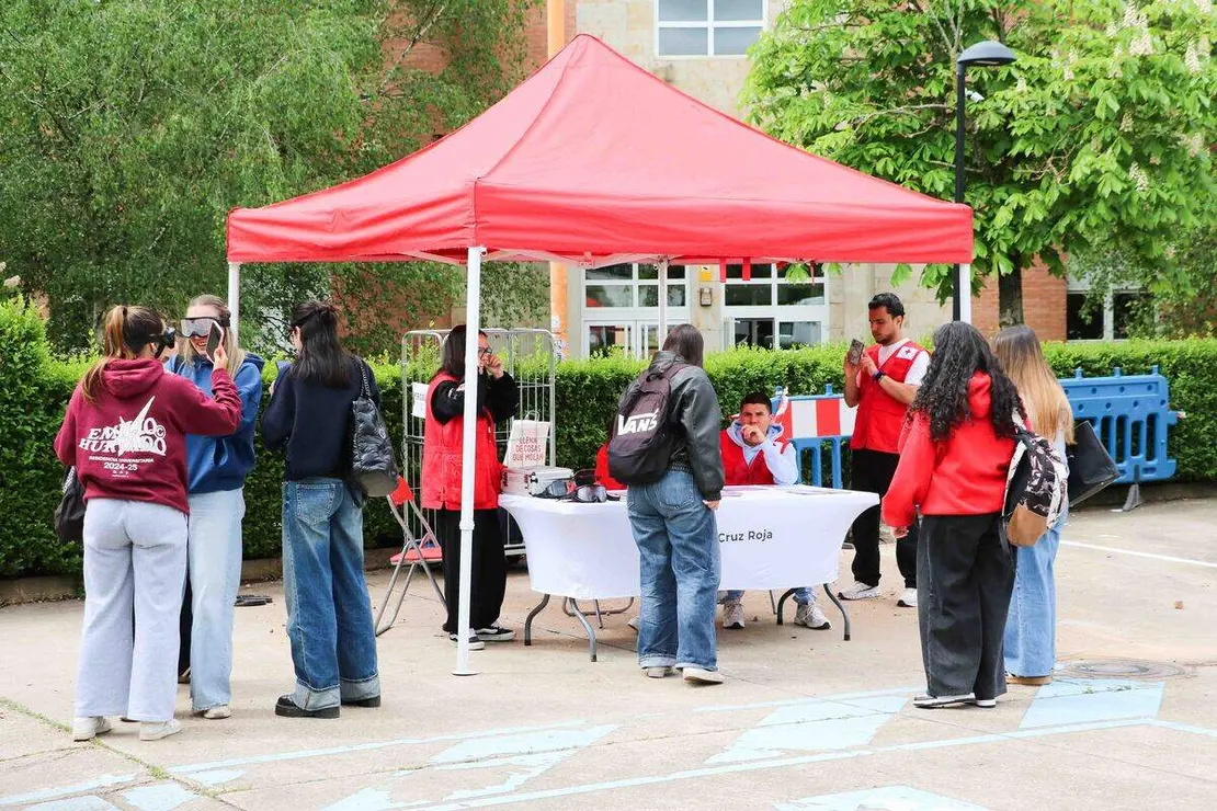 conducci&oacute;n ULE (10)