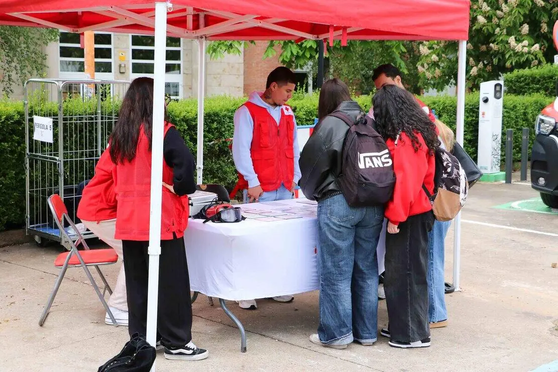 conducci&oacute;n ULE (14)