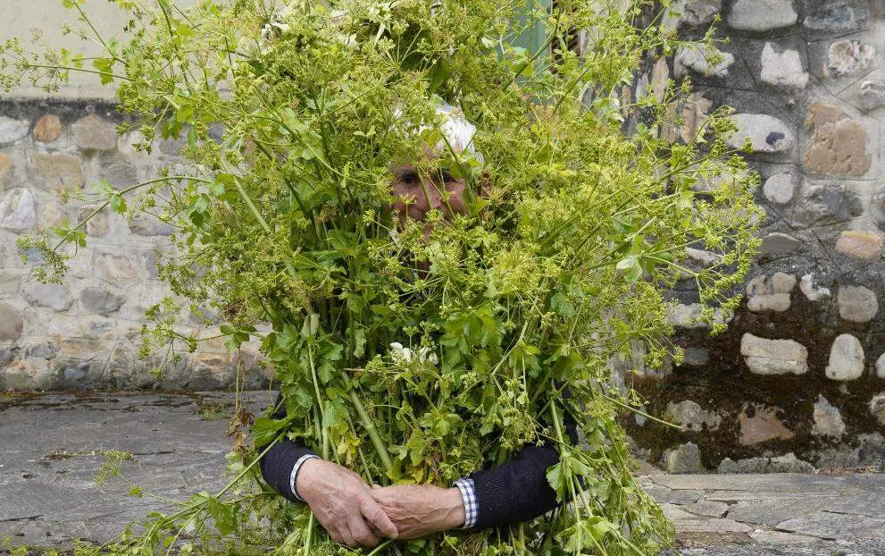 Los 'Maios' de Villafranca del Bierzo honran de nuevo a la naturaleza para que cada primavera regrese cargada de vida. Foto: C&eacute;sar S&aacute;nchez