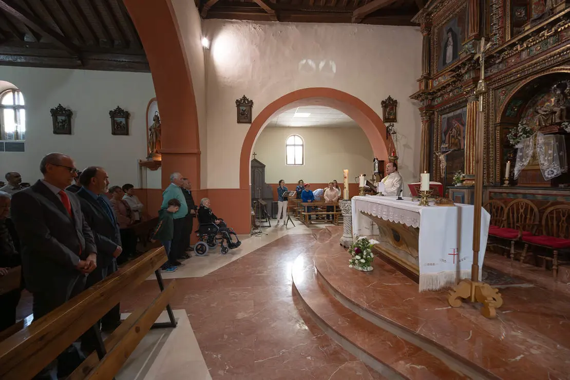 SARDONEDO (6)