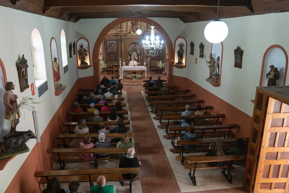SARDONEDO (7)