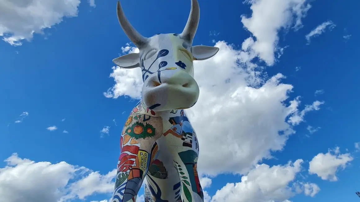 Vaca glorieta (3)