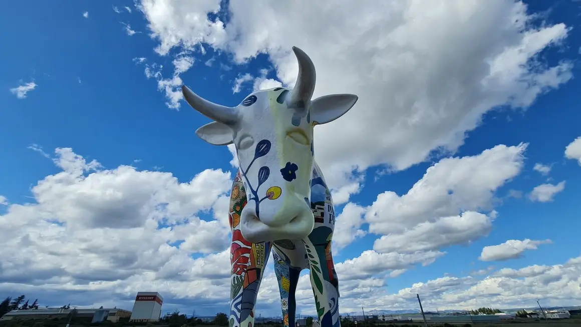 Vaca glorieta (10)