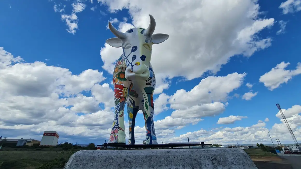 Vaca glorieta (11)