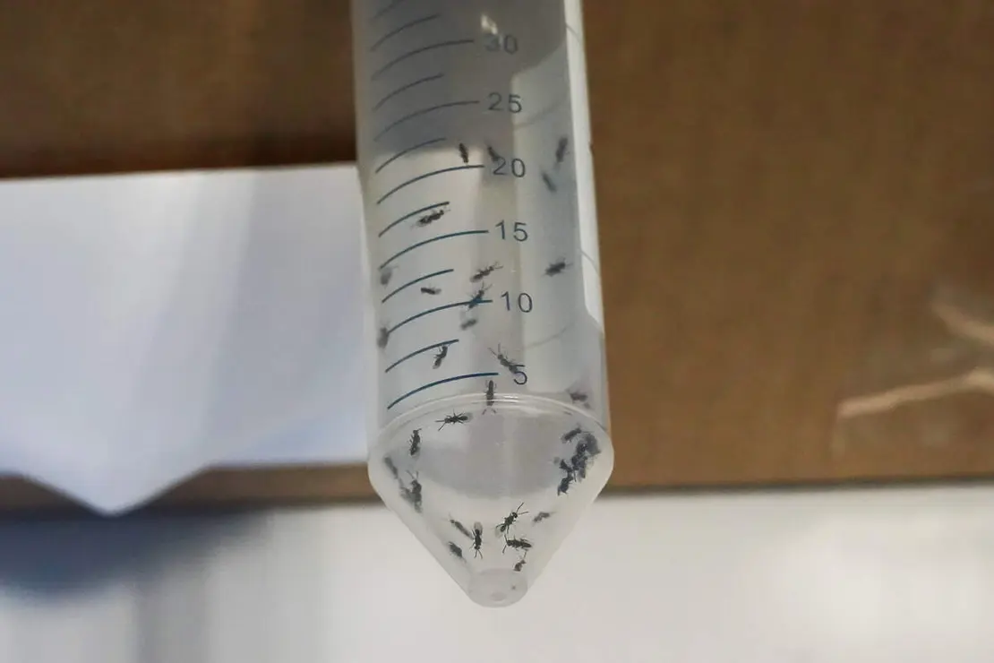 El consejero de Medio Ambiente, Vivienda y Ordenaci&oacute;n del Territorio, Juan Carlos Su&aacute;rez-Qui&ntilde;ones, visita el Instituto de Biotecnolog&iacute;a de Le&oacute;n, Inbiotec-&Aacute;rea de Biotecnolog&iacute;a de Cesefor