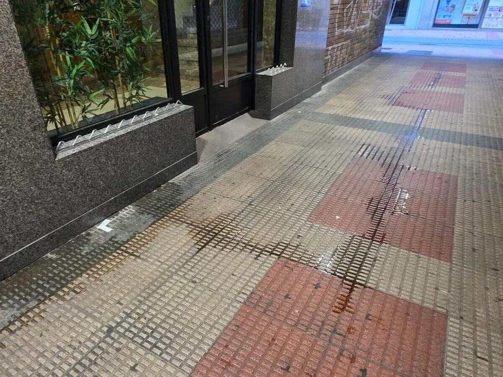 suciedad en las calles del centro (3)