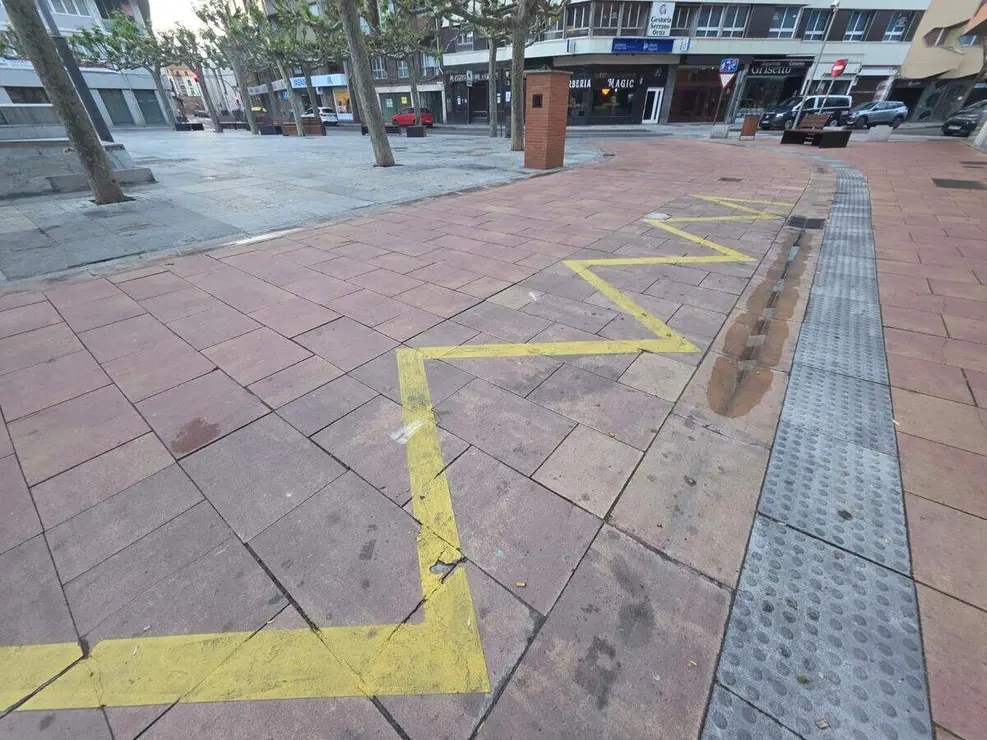 suciedad en las calles del centro (8)