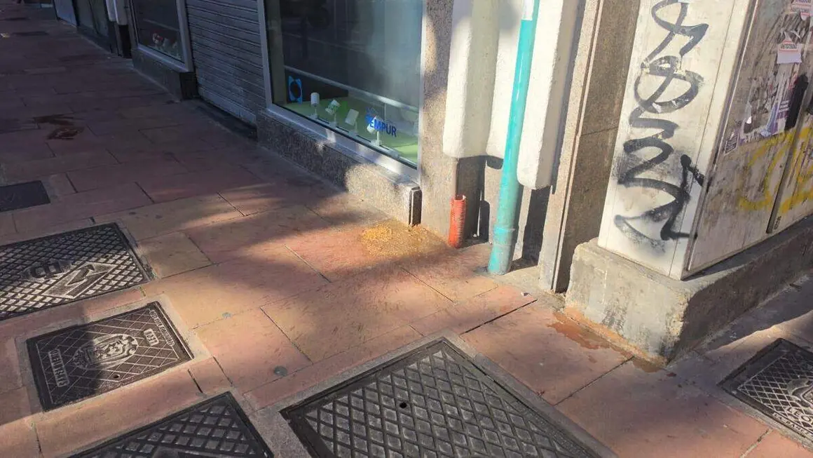 suciedad en las calles del centro (11)