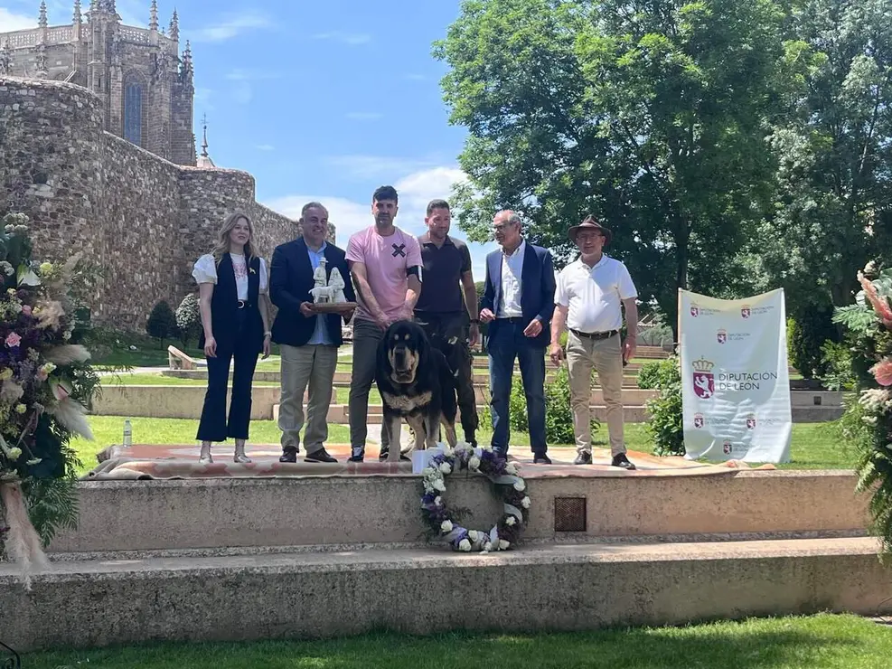 Cerca de 70 canes de toda la pen&iacute;nsula han buscando coronarse como los mejores ejemplares en el Campeonato de Mast&iacute;n Espa&ntilde;ol.