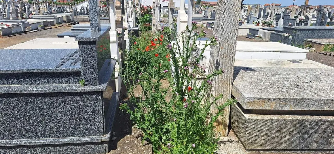 Valencia-De-Don-Juan-Cementerio-20260525_2