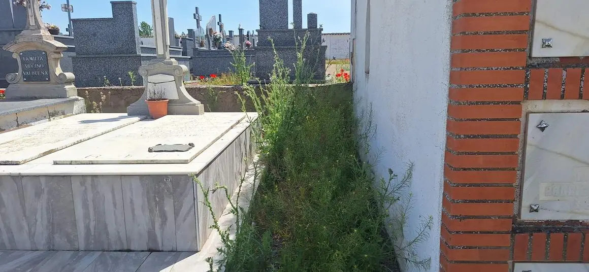 Valencia-De-Don-Juan-Cementerio-20260525_3