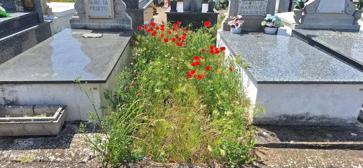 Valencia-De-Don-Juan-Cementerio-20260525_7